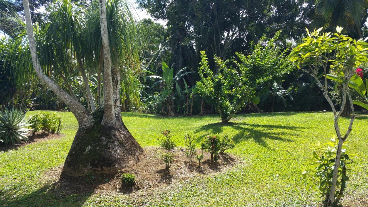 Vila La Creolina Sainte-Rose Exteriér fotografie